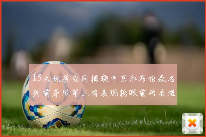 15大优质合同揭晓申京和布伦森名列前茅绿军三将表现抢眼前两名堪称传奇